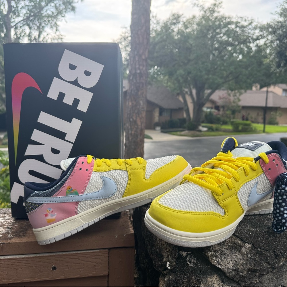 New Schipani Nike Dunk Low Pro SB Pride Month Be True Skateboarding 2022 NWT 13